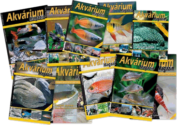 akvarium